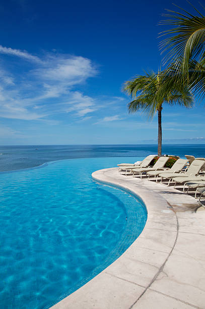 Empty swimming pool next to white sun loungers and palm tree