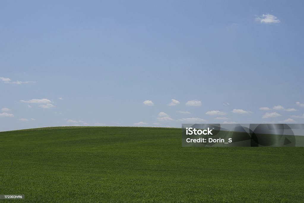 Terre verte, Bleu ciel - Photo de Culture agricole libre de droits