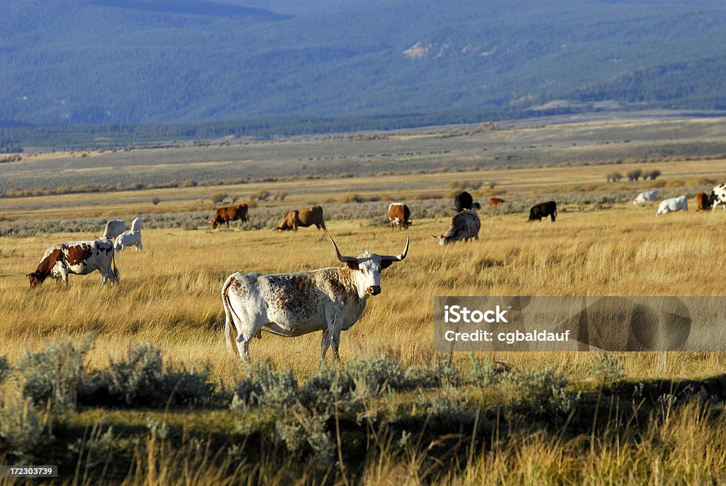 Mama na guarda - Royalty-free Agricultura Foto de stock