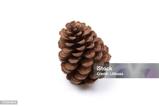 Pine Cone Stockfoto und mehr Bilder von Zapfen - Zapfen, Freisteller – Neutraler Hintergrund, Weißer Hintergrund