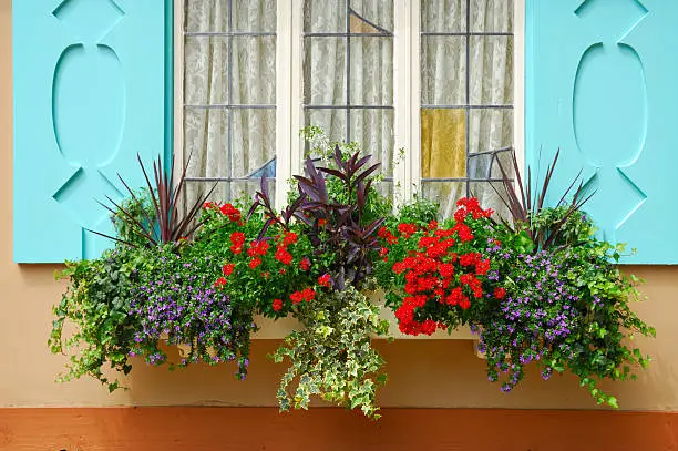A windowbox with an extensive floral arrangement