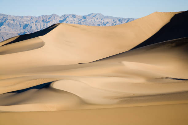 Dune o triplo - foto de acervo