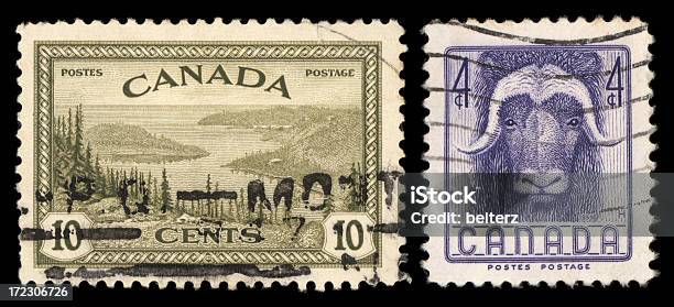 切手カナダ - アメリカバイソンのストックフォトや画像を多数ご用意 - アメリカバイソン, カットアウト, カナダ