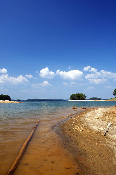istock Log Floating in Lake Lanier Georgia 172306758