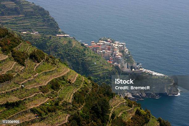 Vineyard And Village Stock Photo - Download Image Now - Agricultural Field, Awe, Cinque Terre