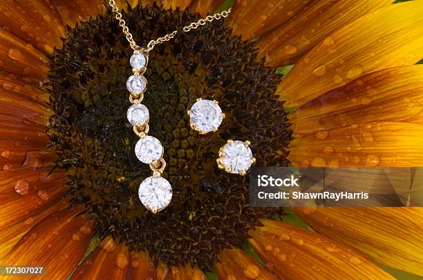 다이아몬드 골드 이터니티 목걸이 이어링 설정 0명에 대한 스톡 사진 및 기타 이미지 - 0명, 개인 장식품, 개체 그룹