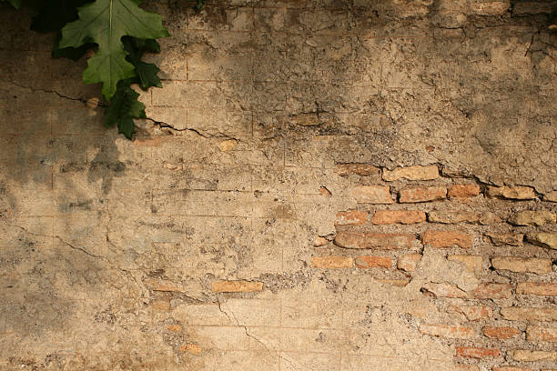 Roman pared con green leaf - foto de stock