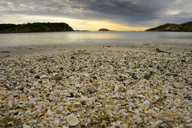 Covered with shells and sand. The midnight sun is almost getting through the thin layer of clouds.