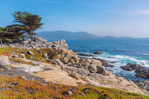 View of scenic road 17 Mile Drive through Pacific Grove and Pebble Beach in Monterey, California