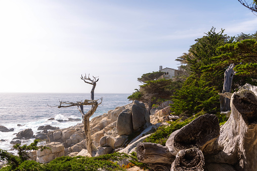 View of scenic road 17 Mile Drive through Pacific Grove and Pebble Beach in Monterey, California