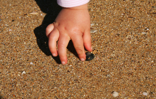A close-up of a small child's hand picking up a shell on a sandy beach
