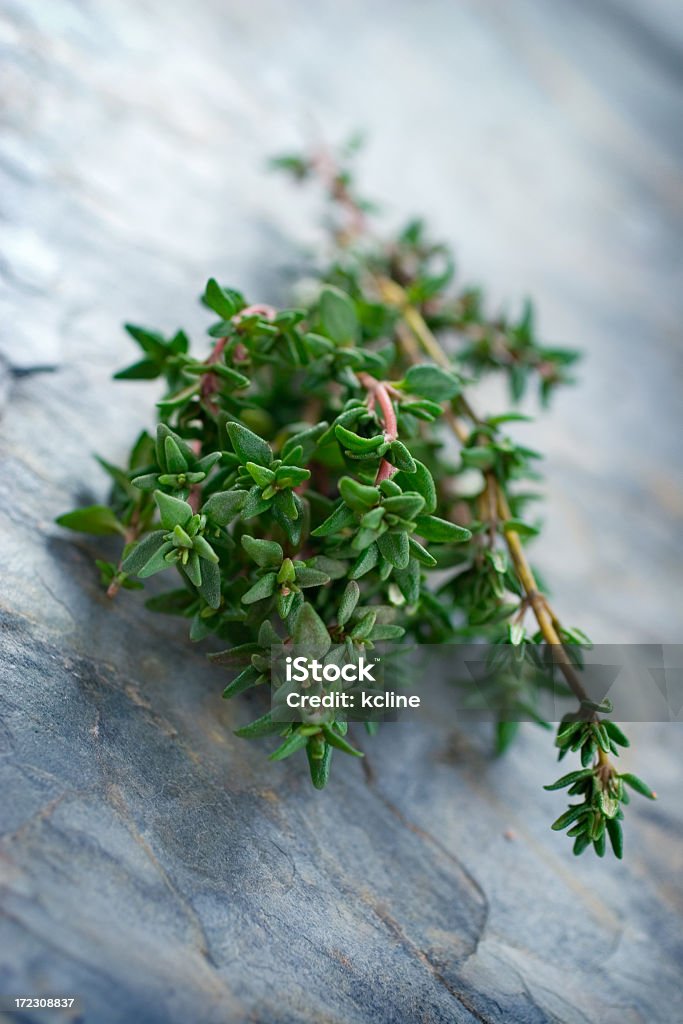 Timo - Foto stock royalty-free di Timo - Erba aromatica