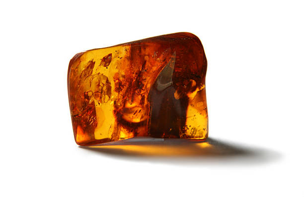 istock Piece of amber with insects 172308962