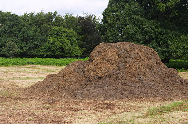 istock Silage heap of grass and ferns 172309119