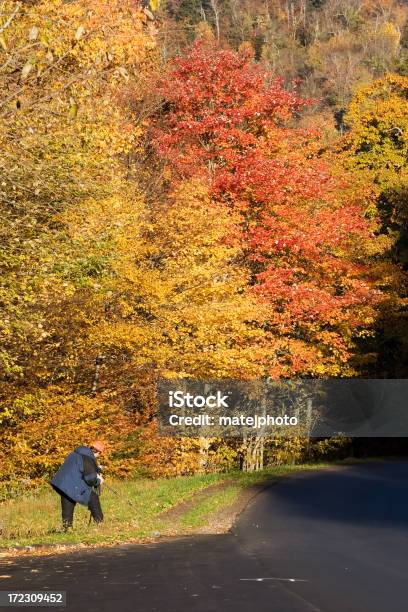 El Otoño Fotógrafo Foto de stock y más banco de imágenes de Actividad - Actividad, Aire libre, Appalachia