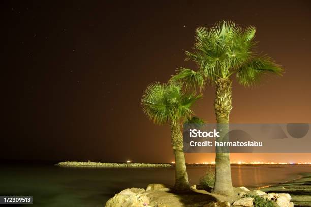 La Noche En La Playa Foto de stock y más banco de imágenes de Agua - Agua, Agua estancada, Arena