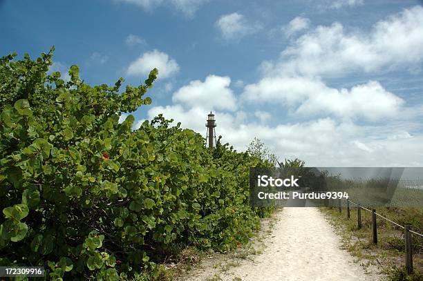 フロリダコースサニベル島の灯台 - サニベル島のストックフォトや画像を多数ご用意 - サニベル島, フロリダ州, メキシコ湾