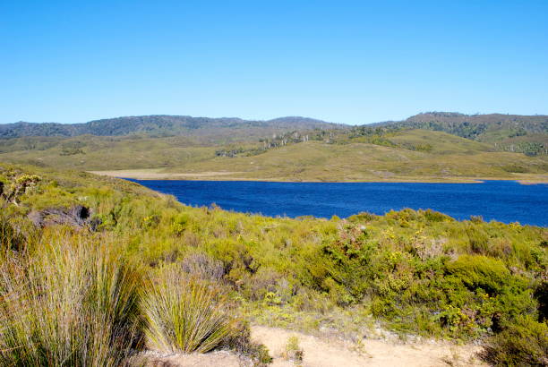 istock Mangarakau Swamp, Golden Bay,NZ 172310010