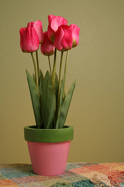 Silk Tulips stock photo