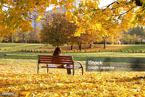 秋の公園 - アベニューのストックフォトや画像を多数ご用意 - アベニュー, パークベンチ, ベンチ
