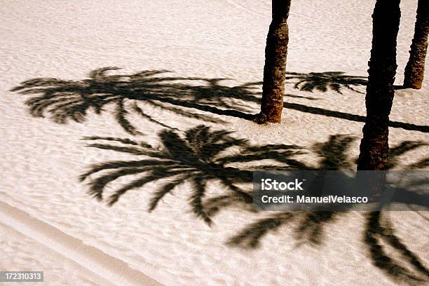 Palm Occhiali - Fotografie stock e altre immagini di Benidorm - Benidorm, Javea, Altea