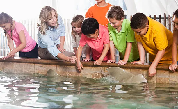 Teacher with multi-ethnic group of elementary school children visiting the zoo, at the stingray exhibit.