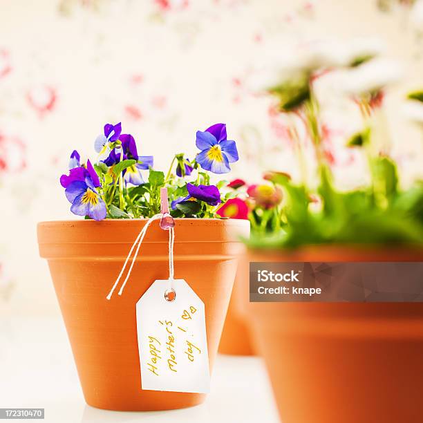 Happy Muttertag Topfpflanze Stockfoto und mehr Bilder von Bildkomposition und Technik - Bildkomposition und Technik, Bildschärfe, Blitzbeleuchtung