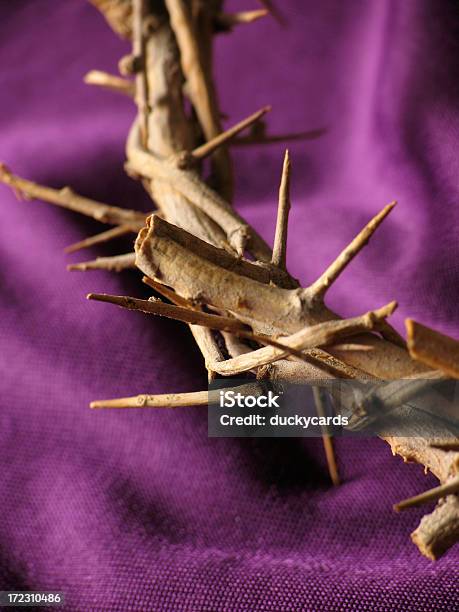 Crown Of Thorns Macro Stock Photo - Download Image Now - Christianity, Close-up, Color Image