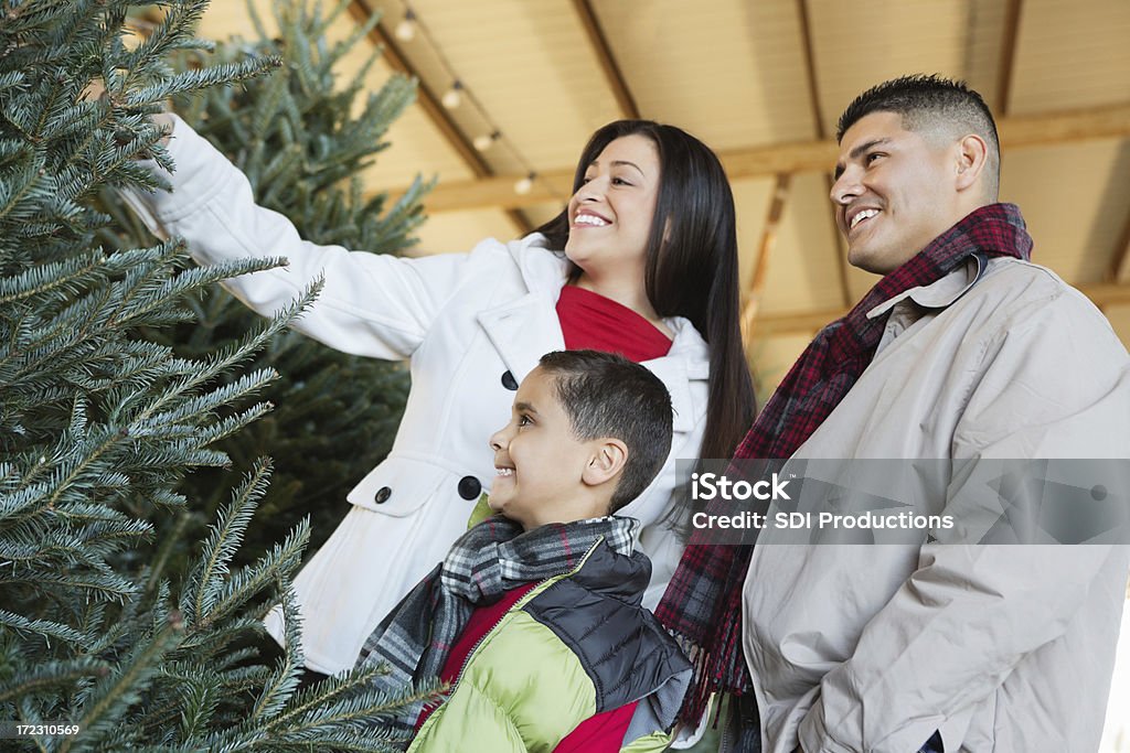 Feliz Hispânico família escolher Árvore de Natal para a compra - Royalty-free Loja de árvores de Natal naturais Foto de stock