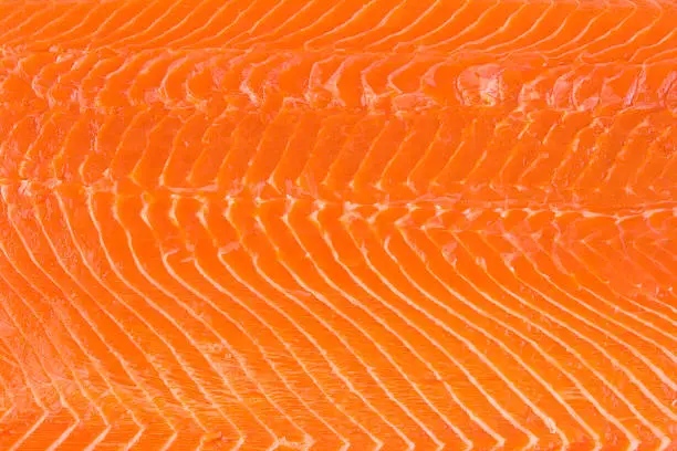 Subject: The texture of a fresh Copper RIver Sockeye Salmon fillet