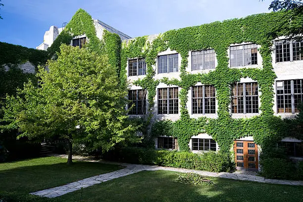 Photo of Ivy Covered University Building