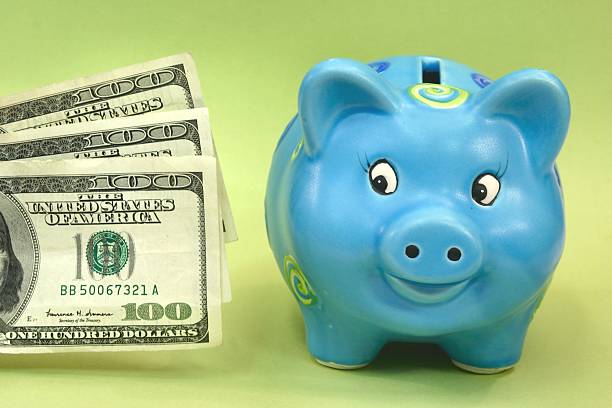 istock Happy Pig Series: blue piggy bank looking at money 172311110