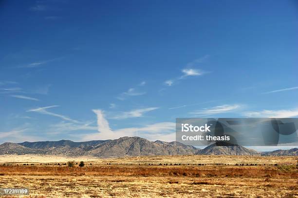 Das New Mexico Desert Stockfoto und mehr Bilder von Ausgedörrt - Ausgedörrt, Australisches Buschland, Berg