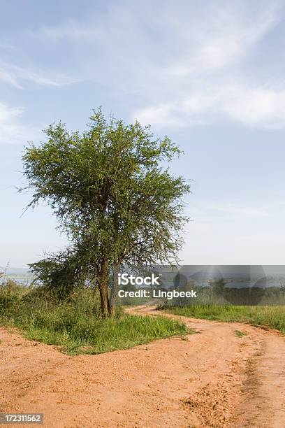 Kurvenreiche Straße In Wasserfall Murchison Np Uganda Stockfoto und mehr Bilder von Afrika