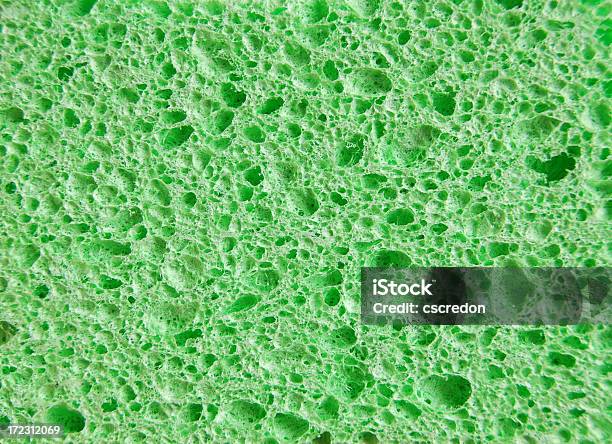 Зеленый Бисквитный — стоковые фотографии и другие картинки Мочалка - Мочалка, Текстурный, Зелёный цвет