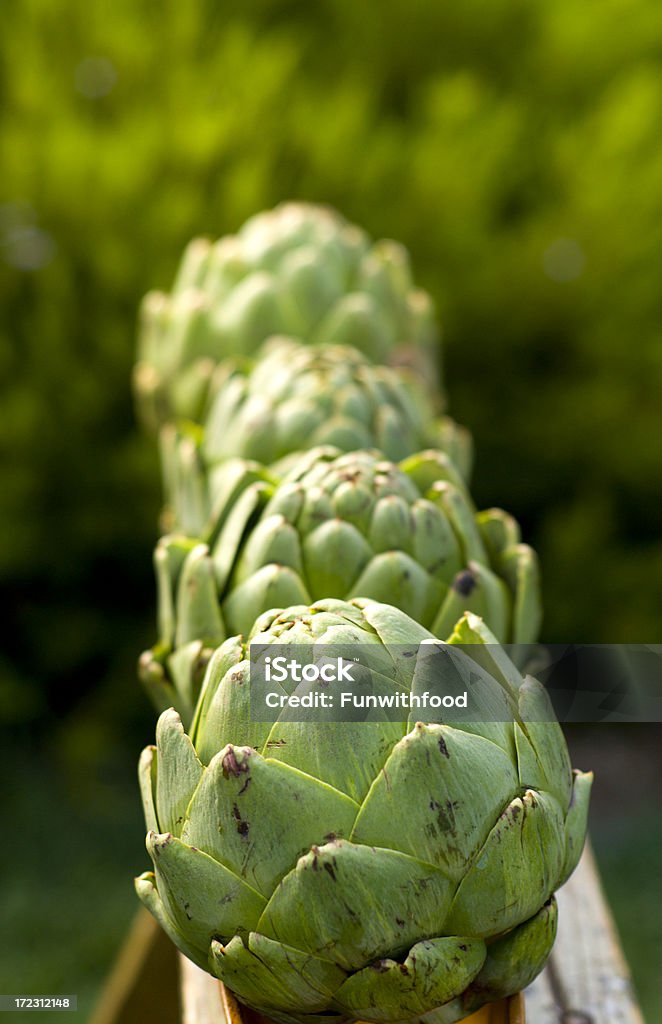 Carciofi freschi reperito giardino verde, fatta di verdure cibo salutare biologico - Foto stock royalty-free di Affilato