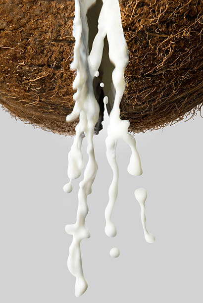 Coco com leite - fotografia de stock