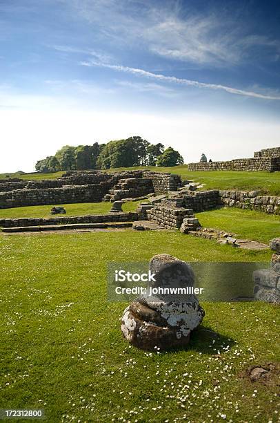 Housteads Fort Reliquia Foto de stock y más banco de imágenes de Housesteads - Housesteads, Fortaleza - Estructura de edificio, Romano