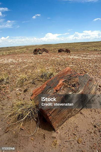 Deserto Dipinto - Fotografie stock e altre immagini di Antico - Condizione - Antico - Condizione, Area selvatica, Arizona