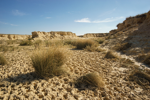 Dry bush at desert landscape of the arid plateau of the Bardenas Reales, Arguedas, Navarra, Spain