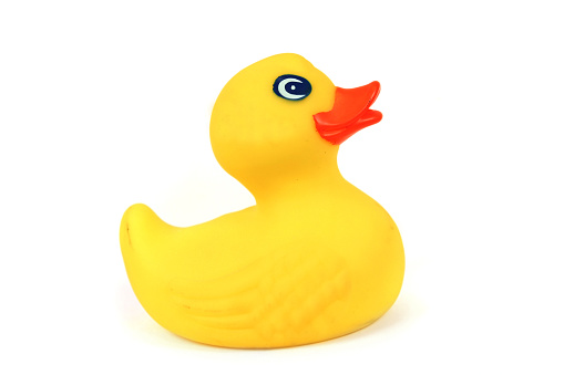 one small yellow duckling on white background, copy space, selective focus, minimalism, vertical