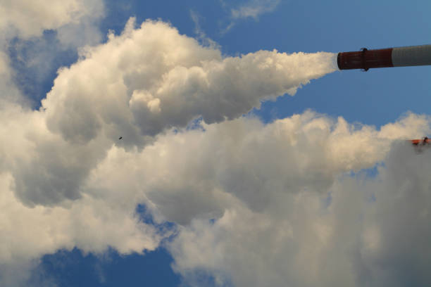 istock little bird and exhaust smoke 172314035