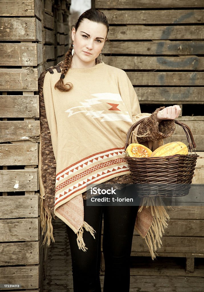 Harvest imagen de - Foto de stock de Cesta libre de derechos