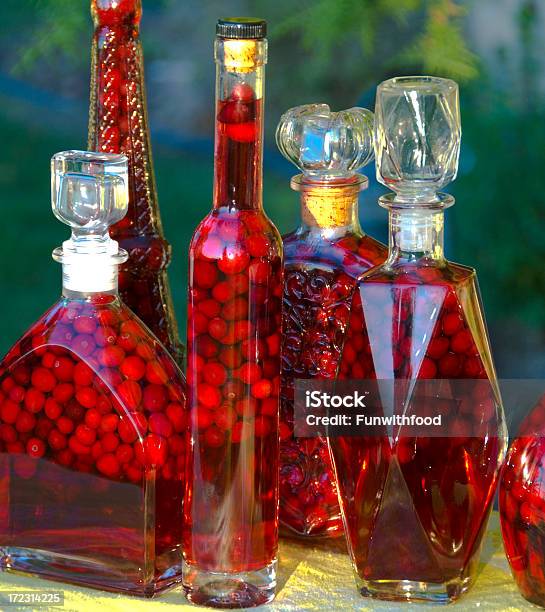 Photo libre de droit de Bouteilles De Cranberry Fruits Frais Faits Maison À Base De Vodka Infusée banque d'images et plus d'images libres de droit de Fait maison