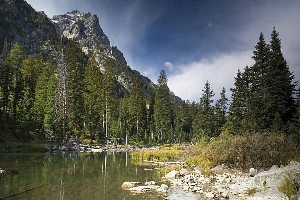 Río de montaña - foto de stock