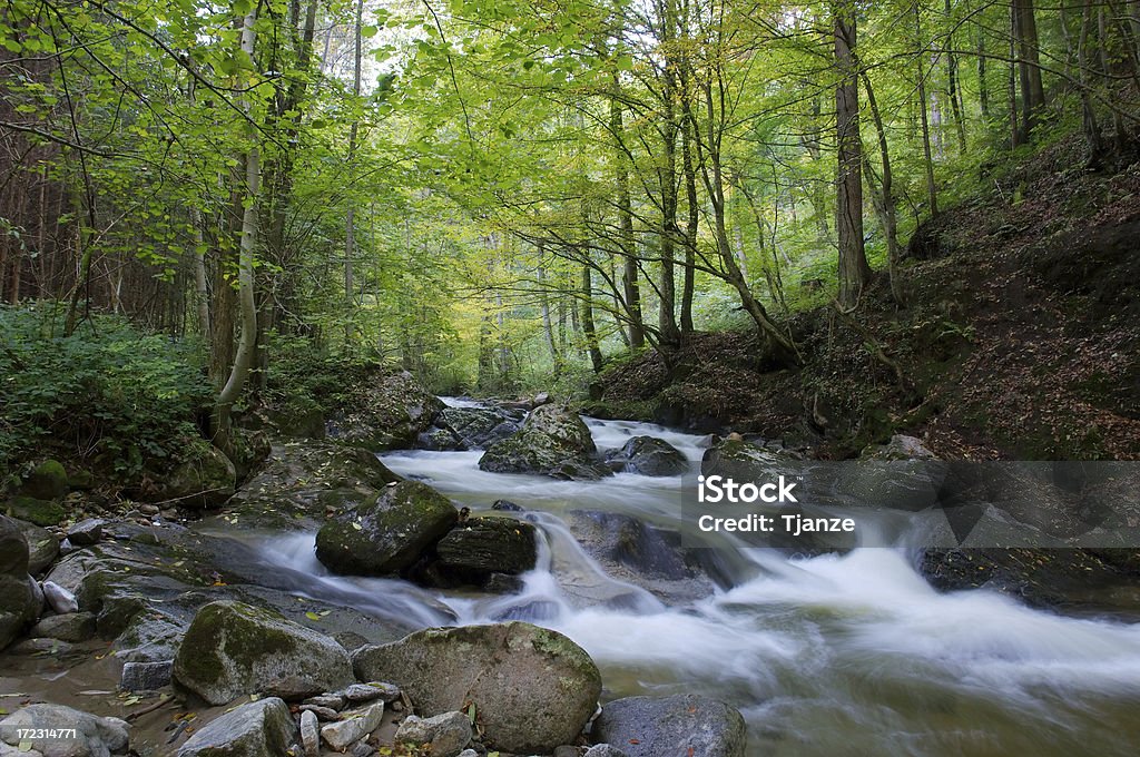 River - Lizenzfrei Bach Stock-Foto
