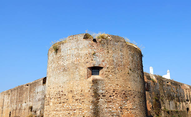 istock Vila Viçosa castle detail 172314799