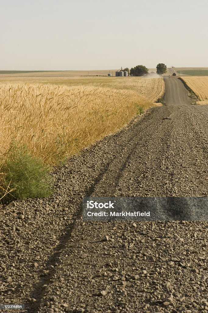 Estrada através de campos de trigo - Foto de stock de Abandonado royalty-free