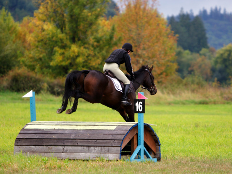 This horse and rider are clearing jump sixteen on a cross country jump course.