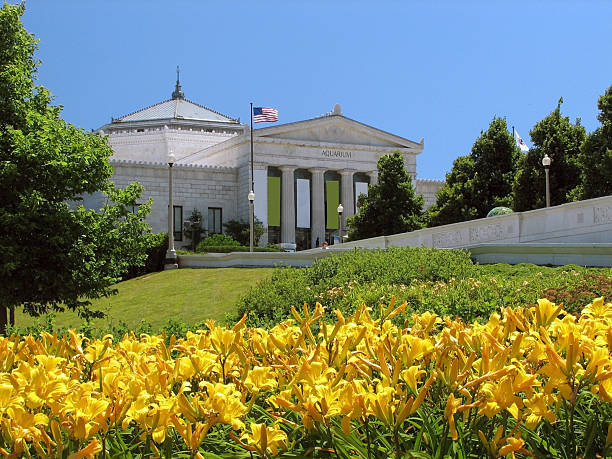 Shedd Aquarium w Chicago – zdjęcie